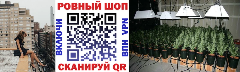Меф мяу мяу Мамадыш
