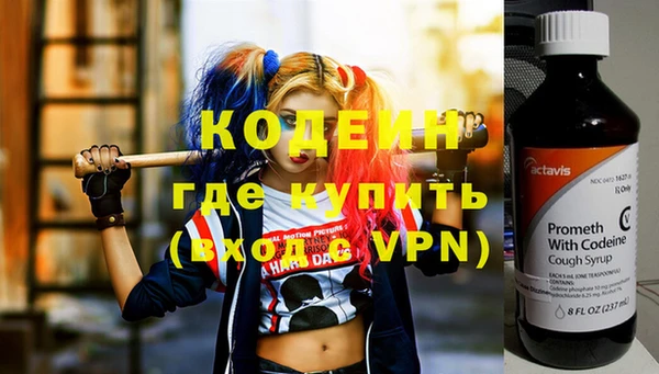 индика Абинск