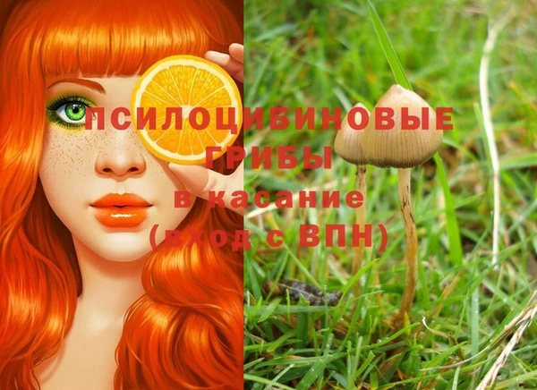 крисы Алексеевка