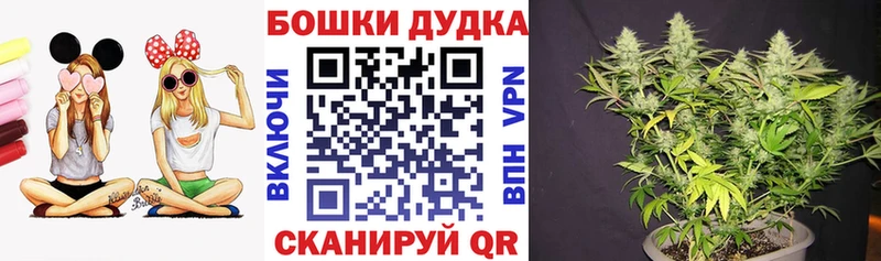 Бошки Шишки марихуана  где купить   Мамадыш 